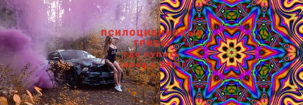 ешки Алексеевка