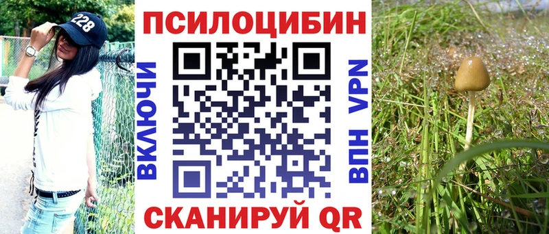 Галлюциногенные грибы прущие грибы  KRAKEN ONION  Махачкала  где купить наркоту 