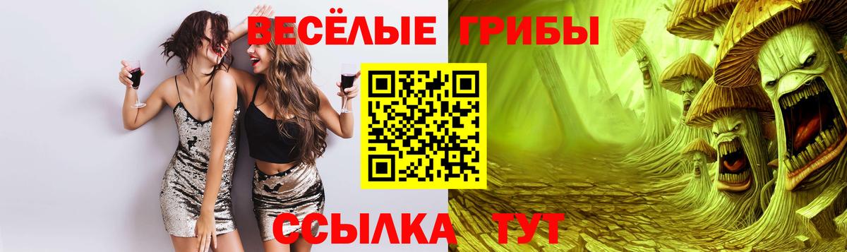 Галлюциногенные грибы GOLDEN TEACHER Махачкала