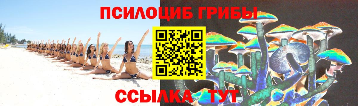 Псилоцибиновые грибы мицелий  Вход с VPN  Махачкала 